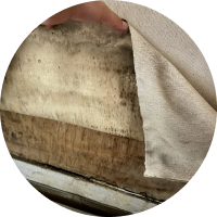 カビ・ダニの発生