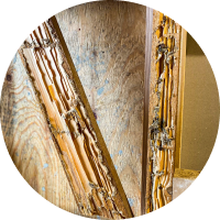 シロアリの発生