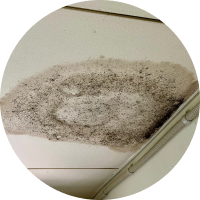 天井にシミができた写真