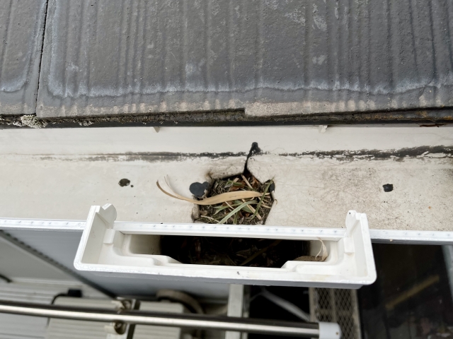 雨樋_詰まり・オーバーフロー