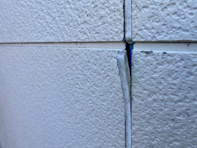 中期から後期の劣化症状 (1)