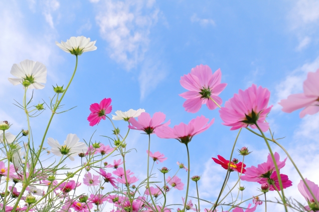 メンテナンスに向いている季節がある