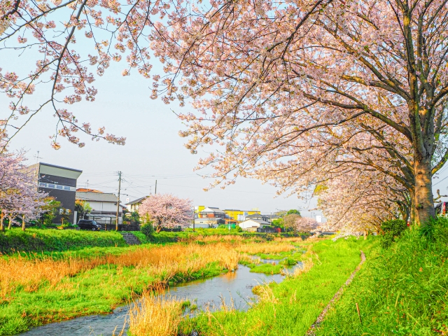 施工に向いている時期がある (2)
