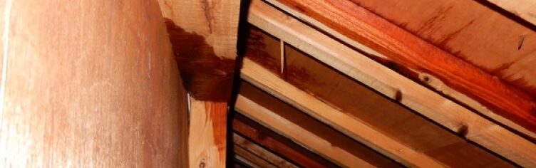 雨漏り被害の写真