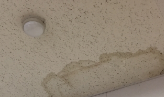 天井や壁のシミ