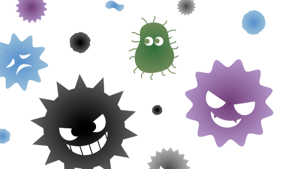 部屋の中がカビ臭い