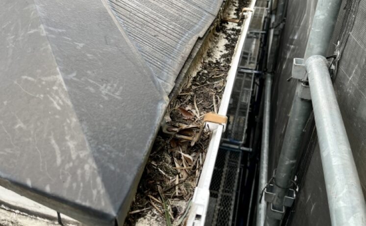 ゴミが詰まった雨どい