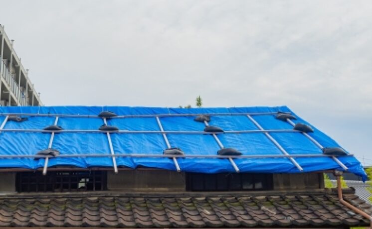 屋根にブルーシートが貼られている様子