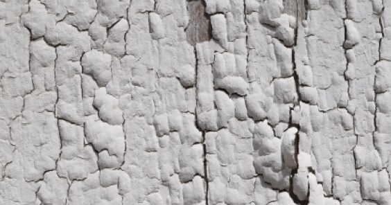 屋根・外壁塗装に不向きな例