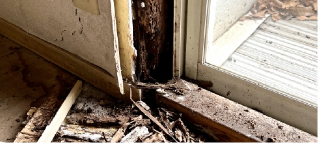 内部の木材が腐食してしまっている状態