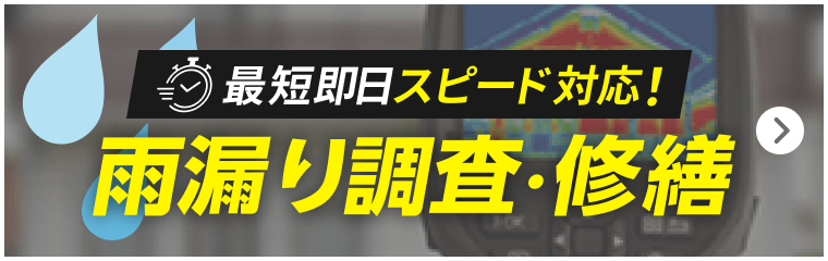 最短即日スピード対王!雨漏り調査・修繕