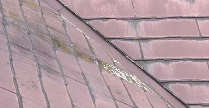 屋根の色あせ・コケ