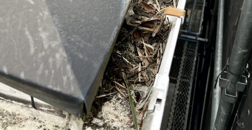 雨どいの詰まり・はずれ