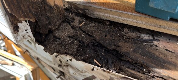 劣化が末期の写真