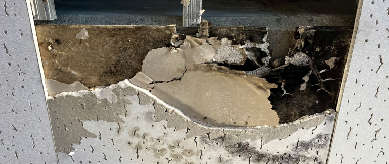 雨漏り被害の写真