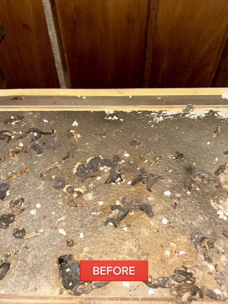 さいたま市・S様|瓦屋根の漆喰入れ替え工事_漆器撤去3
